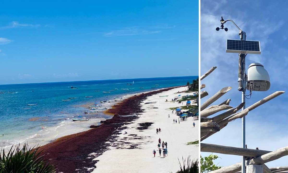 Playa del Carmen atiende en tiempo y forma el tema del sargazo.