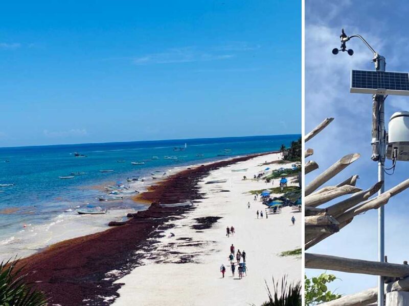 Playa del Carmen instala estación clave para medir gases tóxicos del sargazo