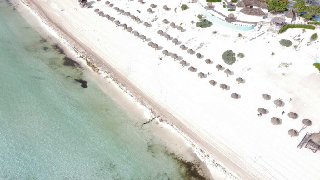 Playas de Cancún sorprenden en abril con baja presencia de sargazo
