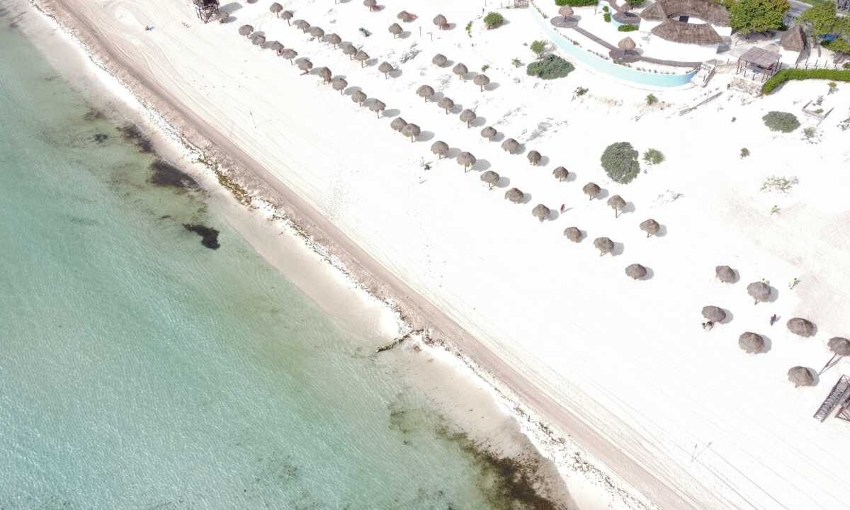 Poco sargazo en las playas de Cancún.