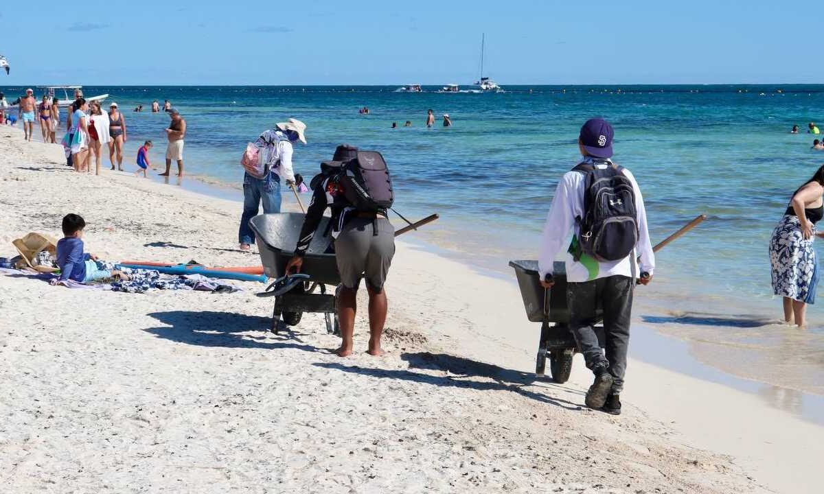 Permanente limpieza de playas en Puerto Morelos.