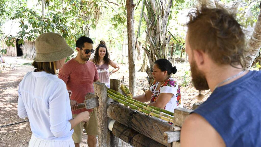 Centro Ecoturístico Kíichpam K’áax – Selva Bonita en lo más alto del turismo.