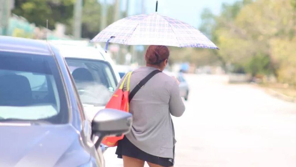 Piden extremar precauciones por onda de calor.