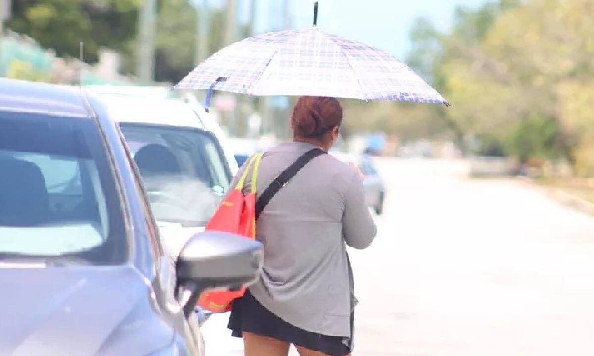 Piden extremar precauciones por onda de calor.