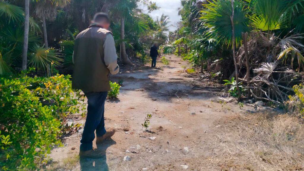 Profepa identifica diversas afectaciones en la Reserva de la Biosfera Sian Ka’an, Q. Roo; alista inspección