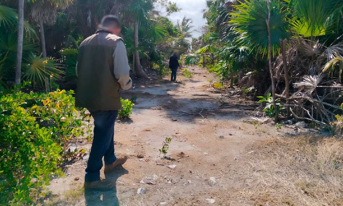 Alista Profepa inspección en Reserva de la Biosfera Sian Ka’an.