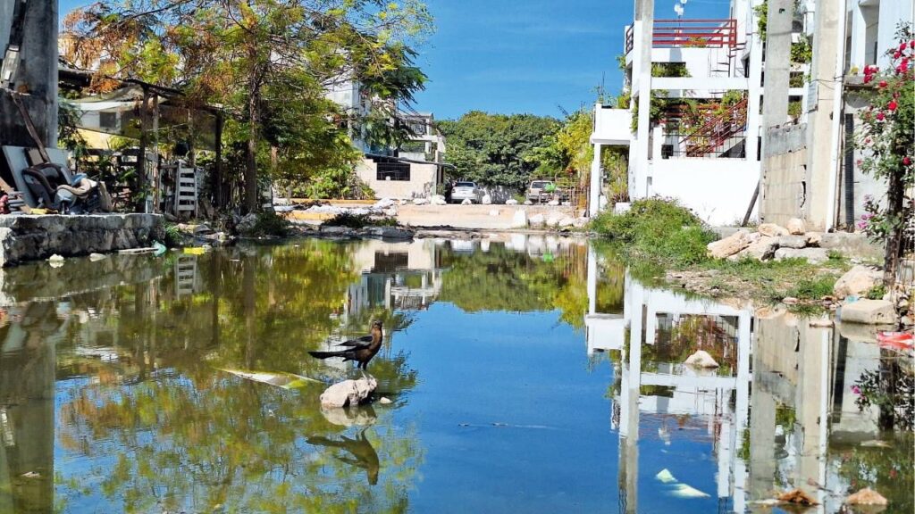 Urbi Villas del Rey: autoridades acatan fallo por irregularidades