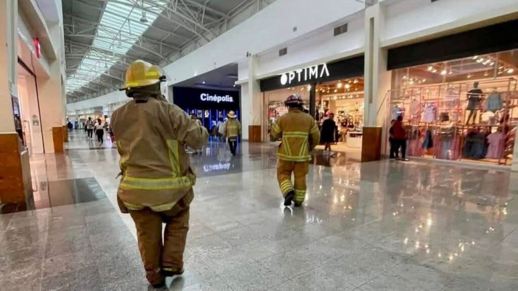 ataques de abejas en Chetumal