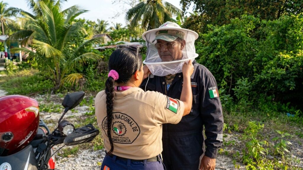 ataques de abejas en Chetumal