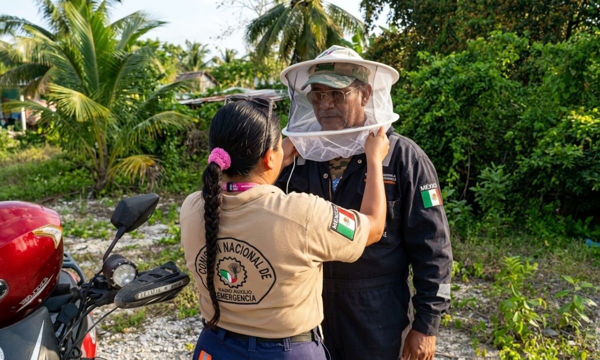 ataques de abejas en Chetumal