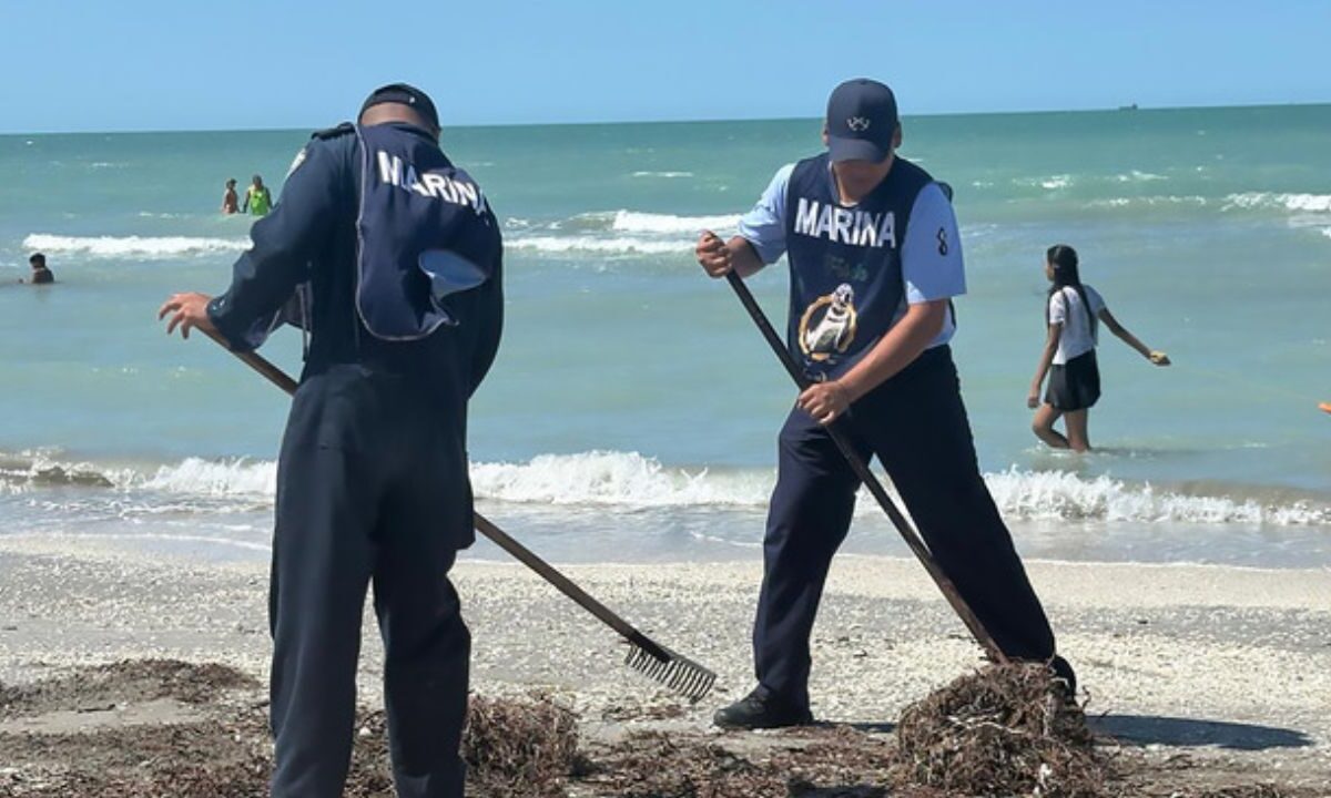 Derrame de hidrocarburo en el Golfo | Recogen 894 toneladas