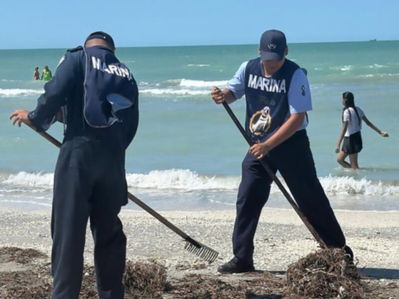 Recogen 894 toneladas de hidrocarburo por derrame en el Golfo de México