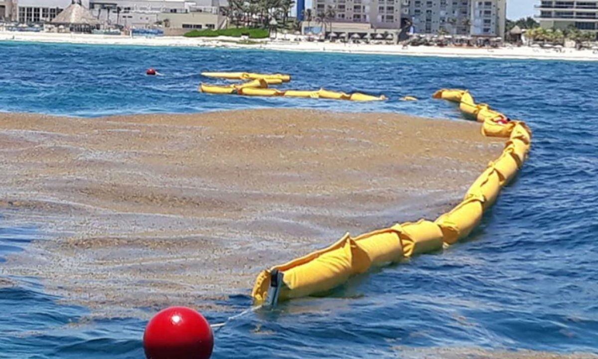 sargazo Quintana Roo