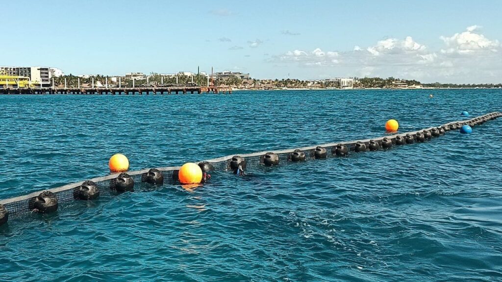 Sargazo en Quintana Roo.