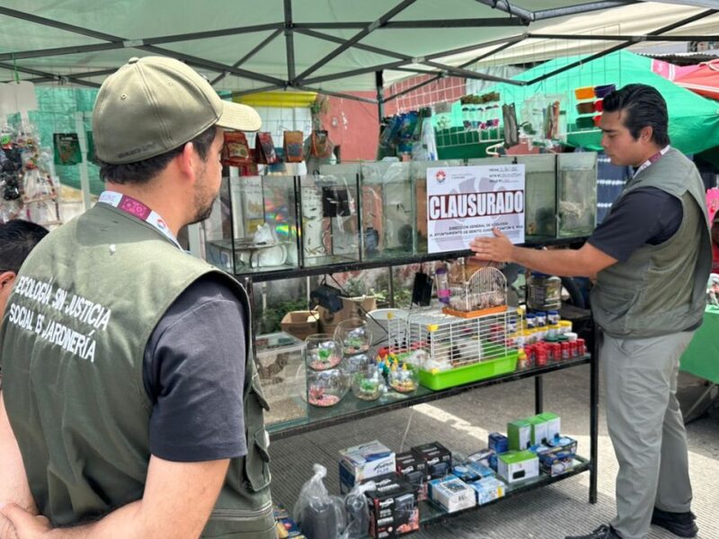 Denuncian venta ilegal de fauna en tianguis de la Región 100 de Cancún