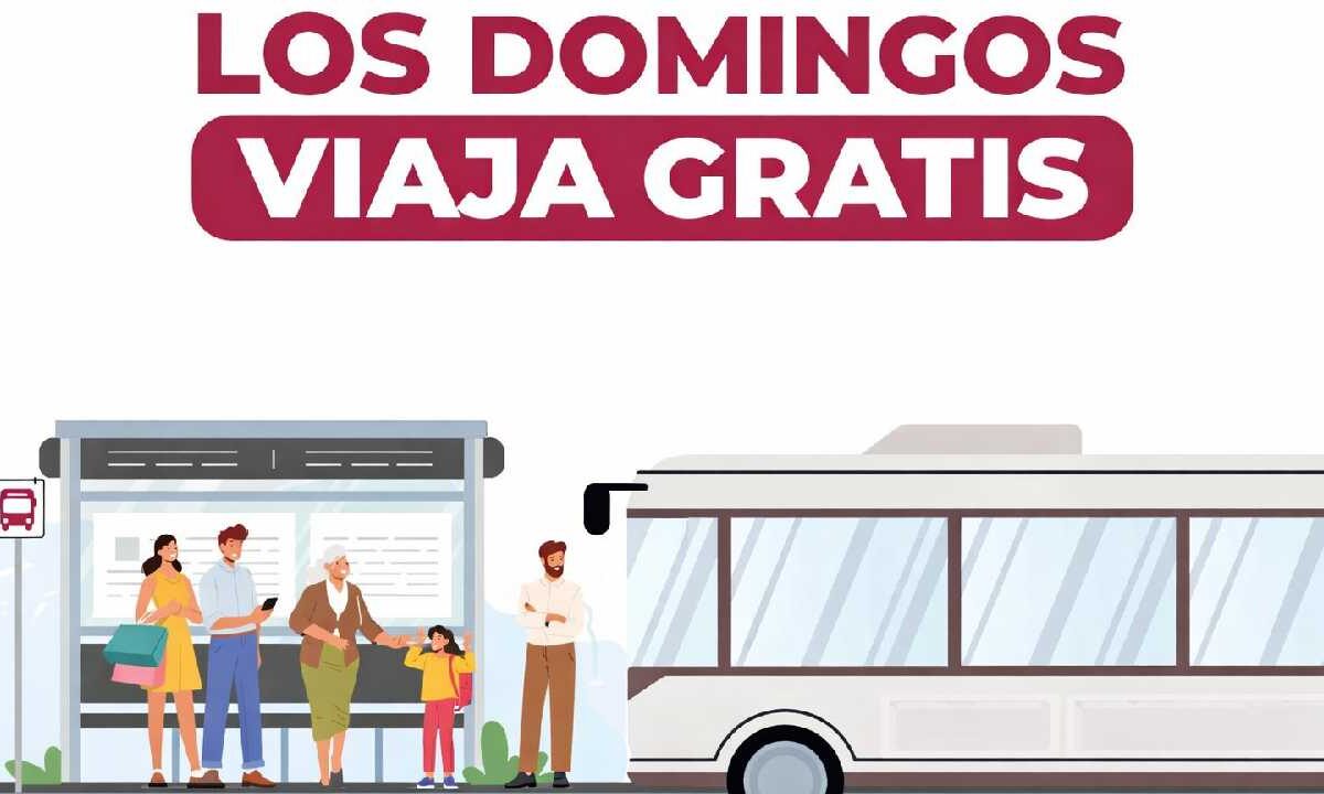 Viaja gratis este último día de vacaciones.