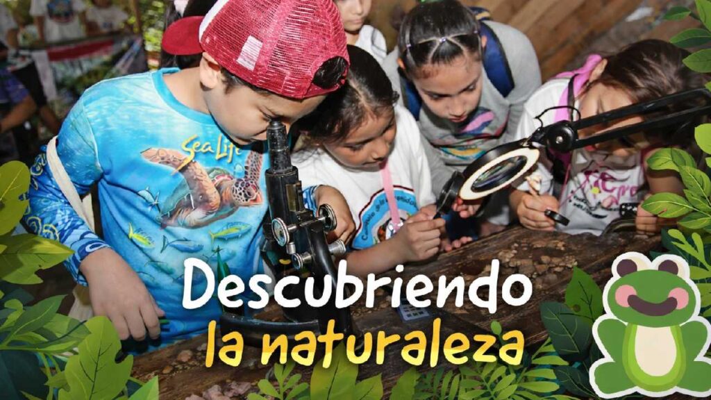 ¿Planes para este fin de semana? Cozumel tiene actividades para tus hijos