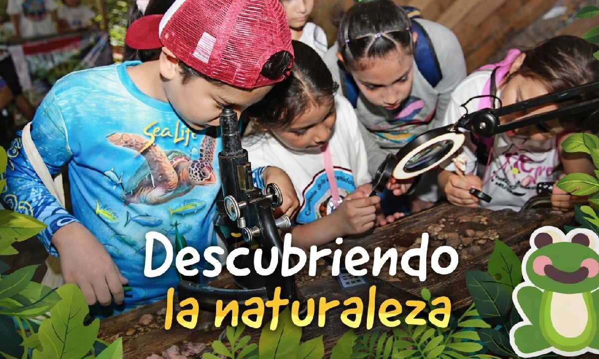 Cozumel tiene planes para tí.