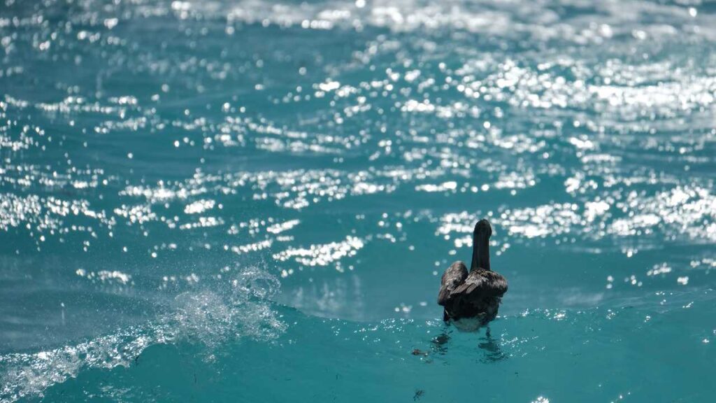 Clima Quintana Roo: prevén un viernes 15 de marzo con ambiente caluroso, lluvias aisladas y nublados dispersos