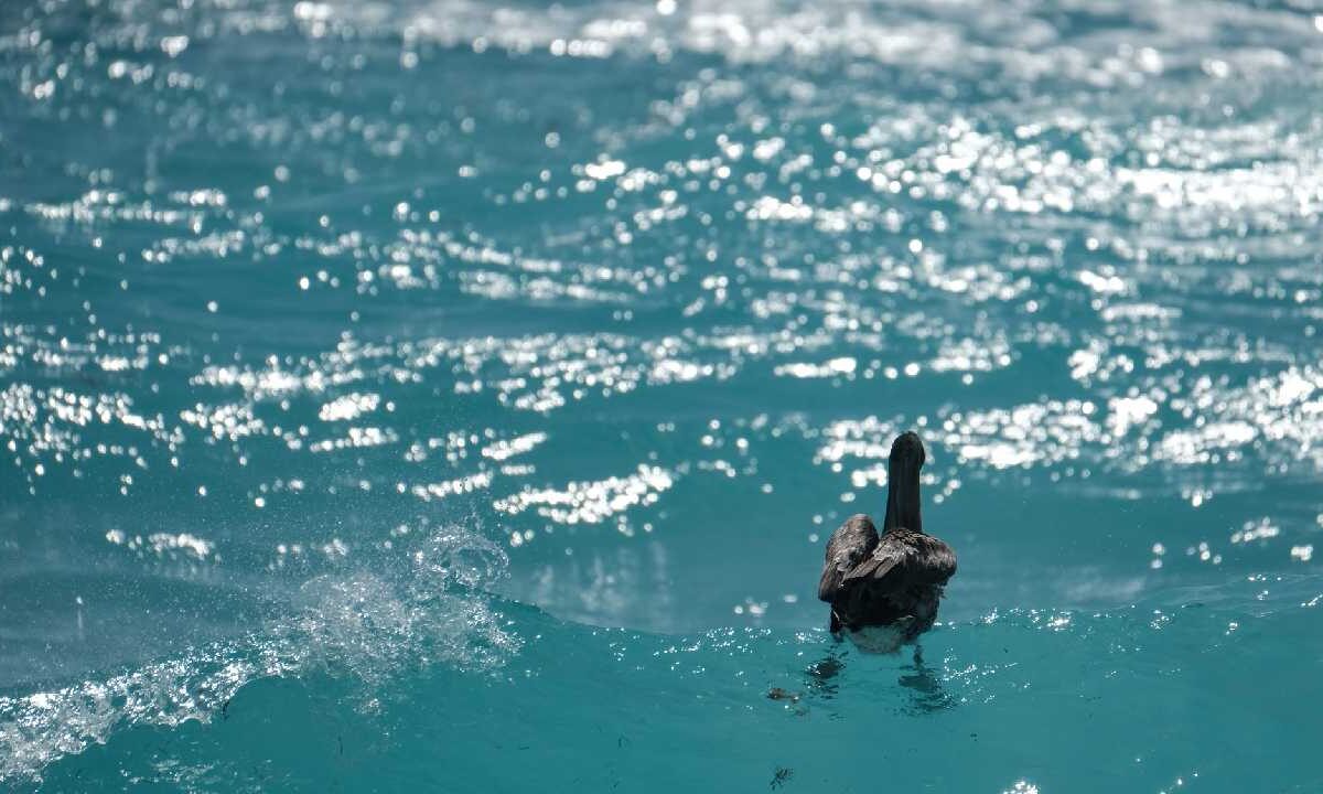 Se prevé ambiente caluroso con lluvias aisladas.