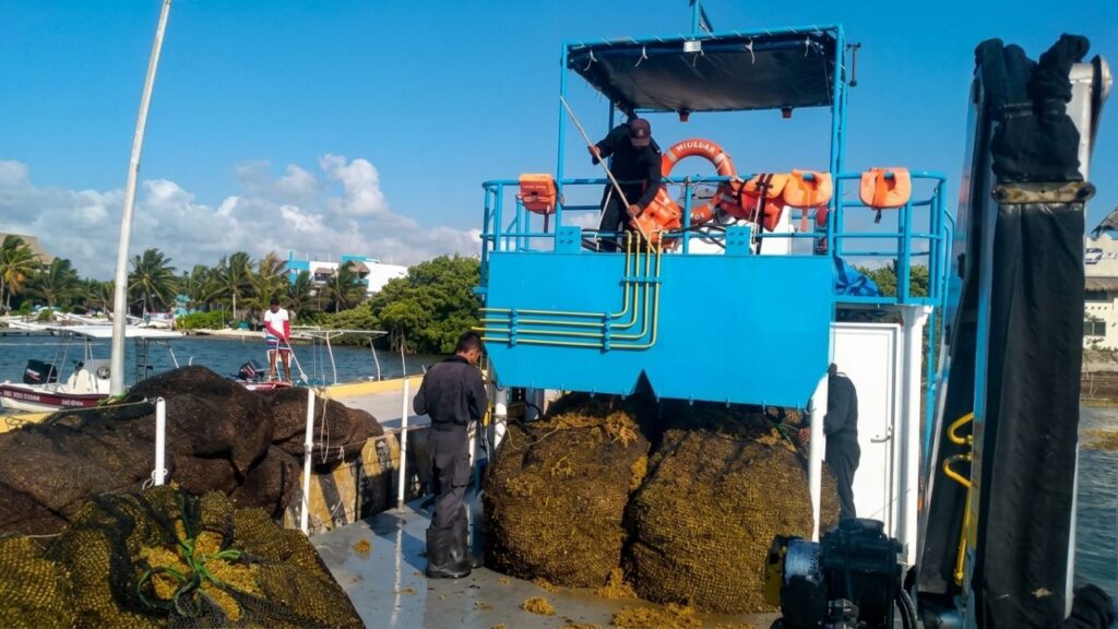 Despliega Marina 150 elementos contra sargazo en Q. Roo