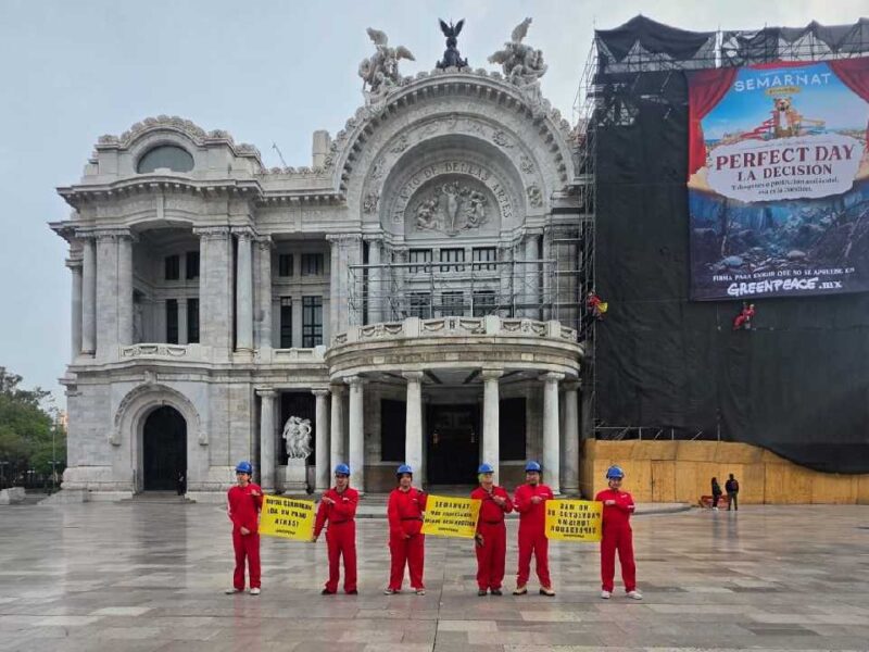 Greenpeace lleva protesta a Bellas Artes para frenar megaproyecto turístico Perfect Day en Mahahual