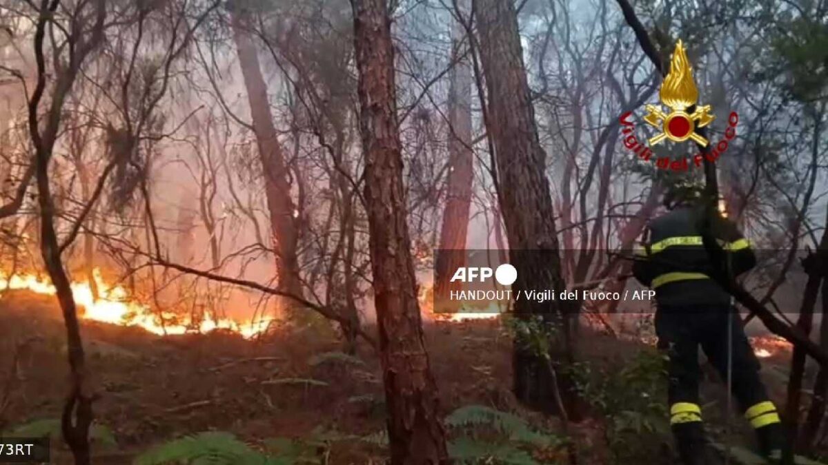 Alerta en Italia por incendios.
