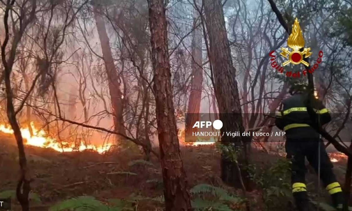 Alerta en Italia por incendios.