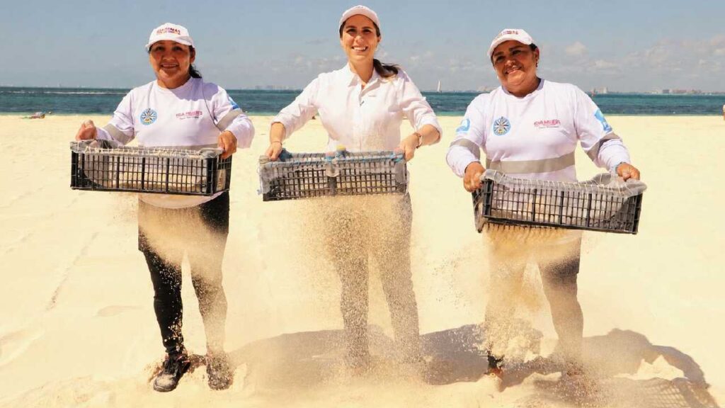 Ponen la cereza en el pastel: Playa Norte y Playa Centro en Isla Mujeres con excelencia Blue Flag