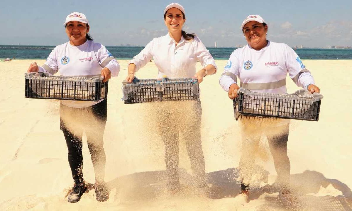 Reconocen arenales de Isla Mujeres.