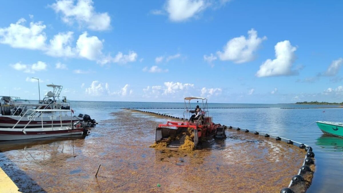 Sargazo en Quintana Roo | Retiro supera las 39 mil toneladas