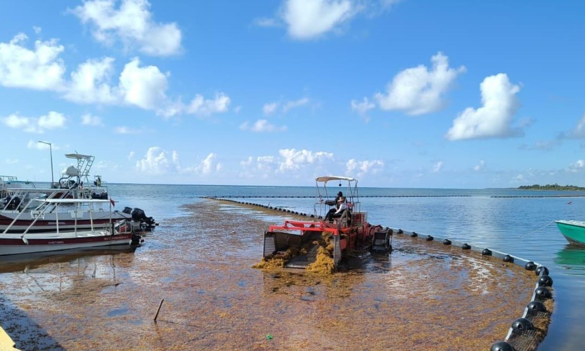 Sargazo en Quintana Roo | Retiro supera las 39 mil toneladas