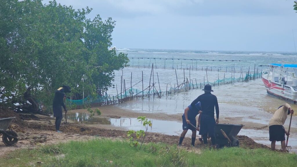 Turisteros de Mahahual absorben costos millonarios por sargazo
