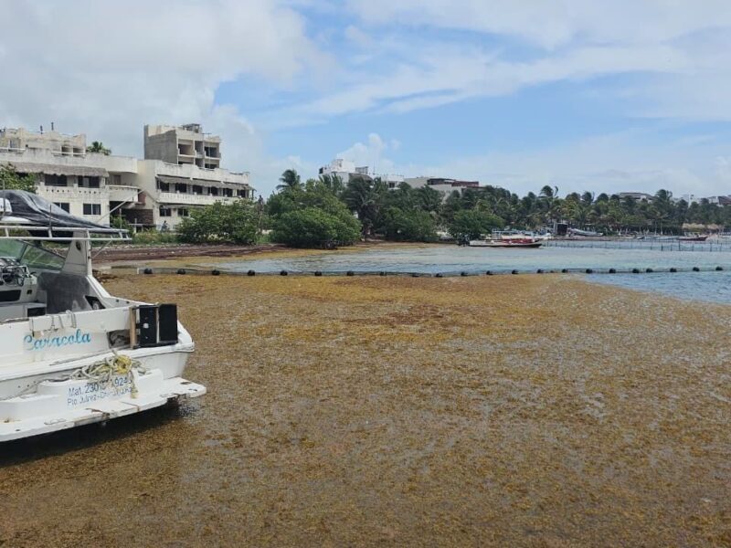 Absorben turisteros costos de hasta $20 mil mensuales por sargazo
