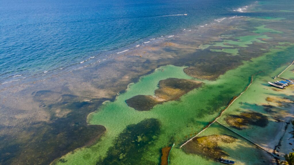 Coparmex Chetumal propone "plan B" tras freno a Perfect Day