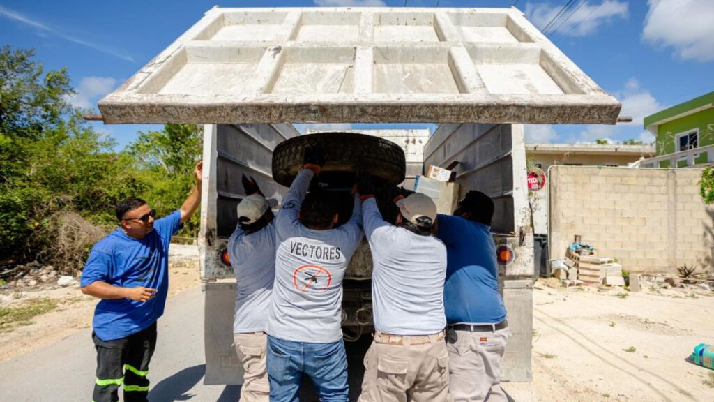 Prevención contra el dengue en Tulum 2026: Arranca campaña