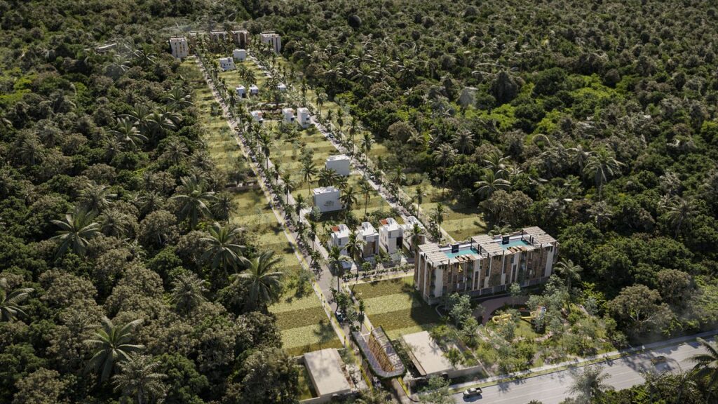 Clausuran 10 desarrollos irregulares en la Ruta de los Cenotes, Puerto Morelos