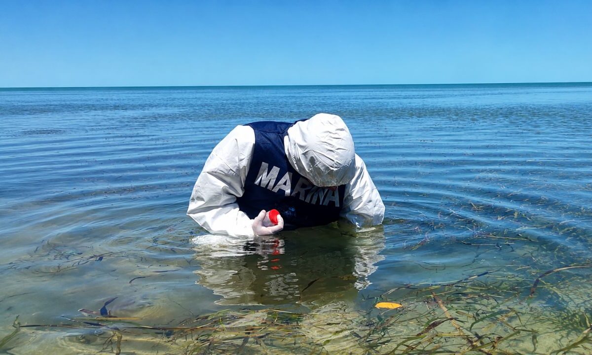 Semar descarta manchas de petróleo en Champotón, Campeche