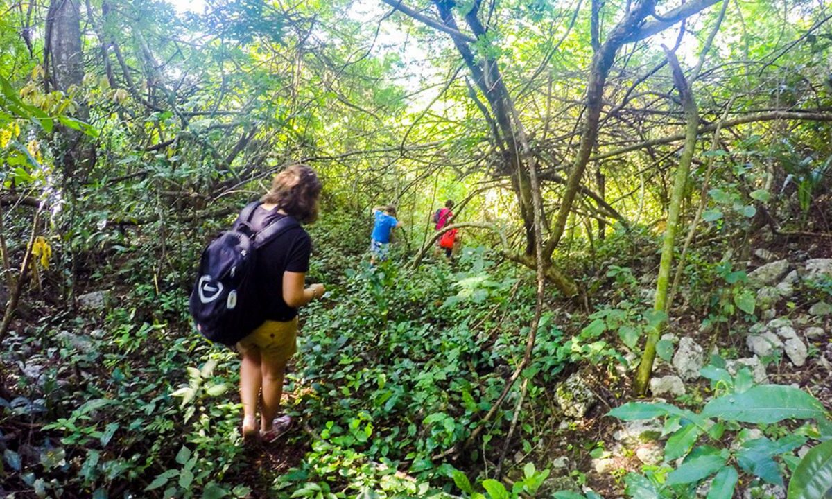 Senderismo en Quintana Roo: El auge del turismo de naturaleza