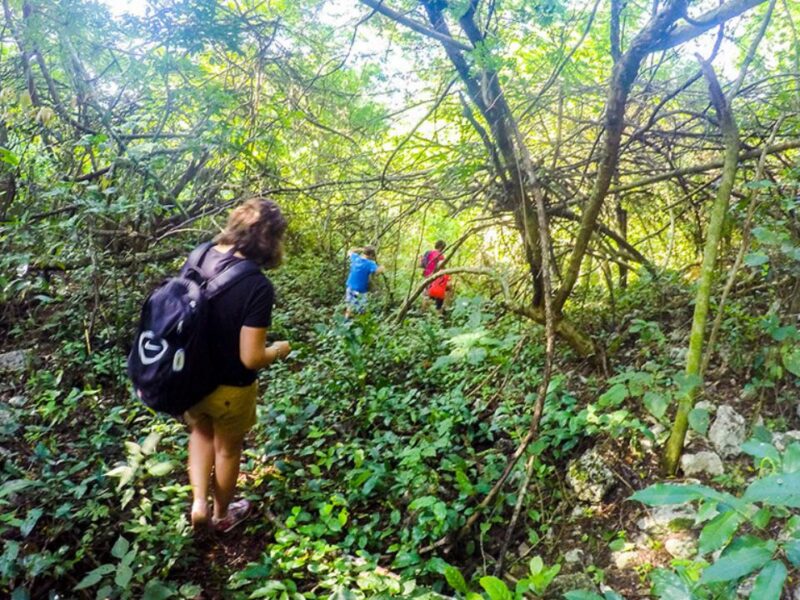 Del bienestar a la aventura: Porqué el senderismo está transformando la Zona Maya