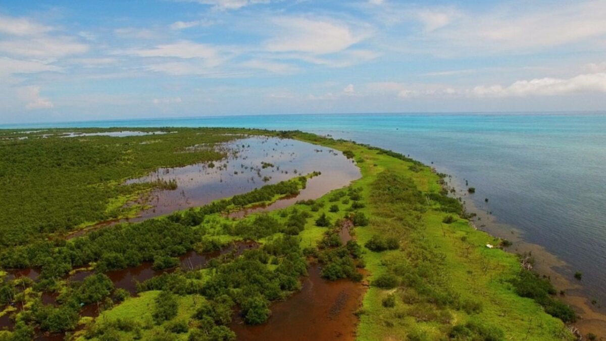 Áreas Naturales Protegidas en Quintana Roo: Logro y grave reto