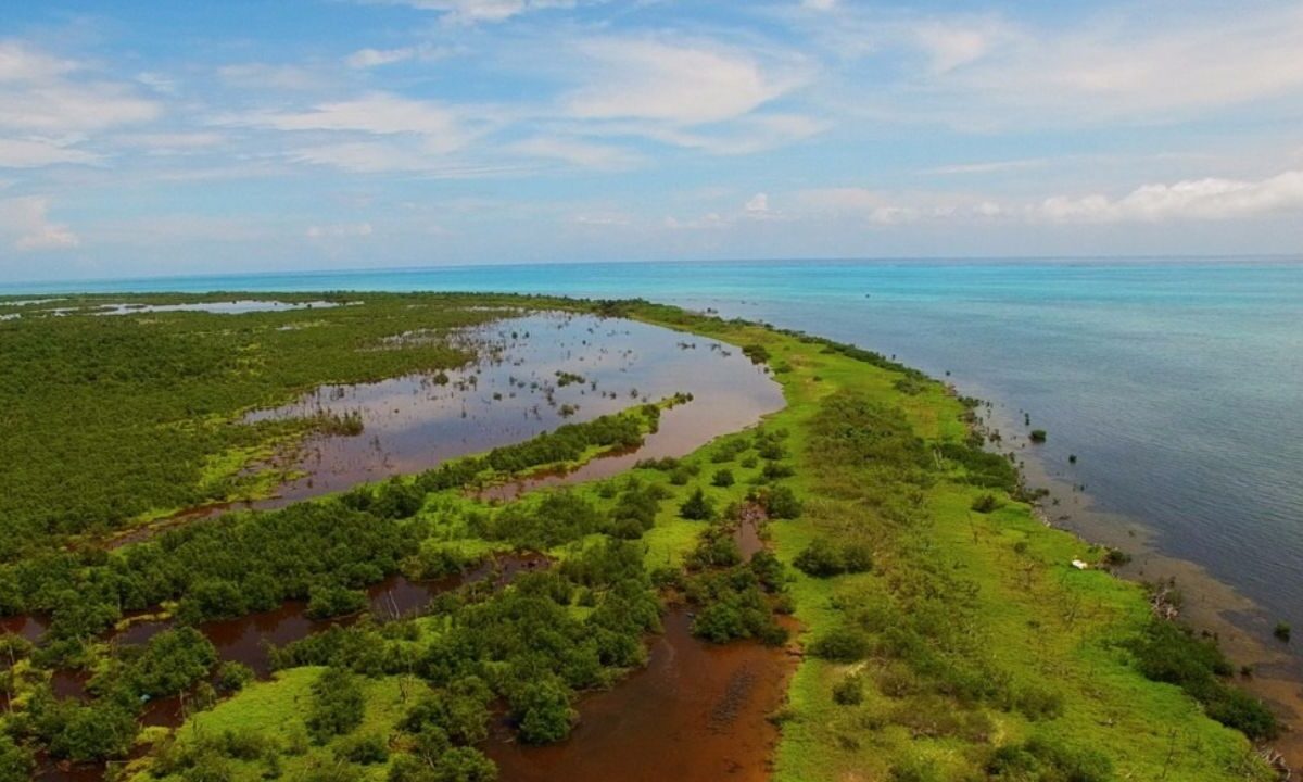 Áreas Naturales Protegidas en Quintana Roo: Logro y grave reto