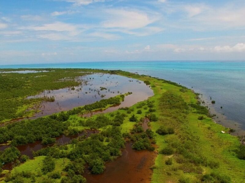 Quintana Roo logra meta histórica ambiental, pero una amenaza acecha sus arrecifes