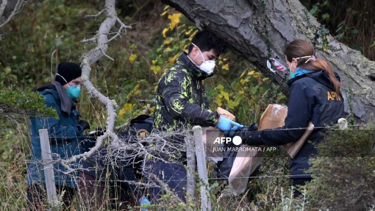 Hallan en Argentina hantavirus en roedores.