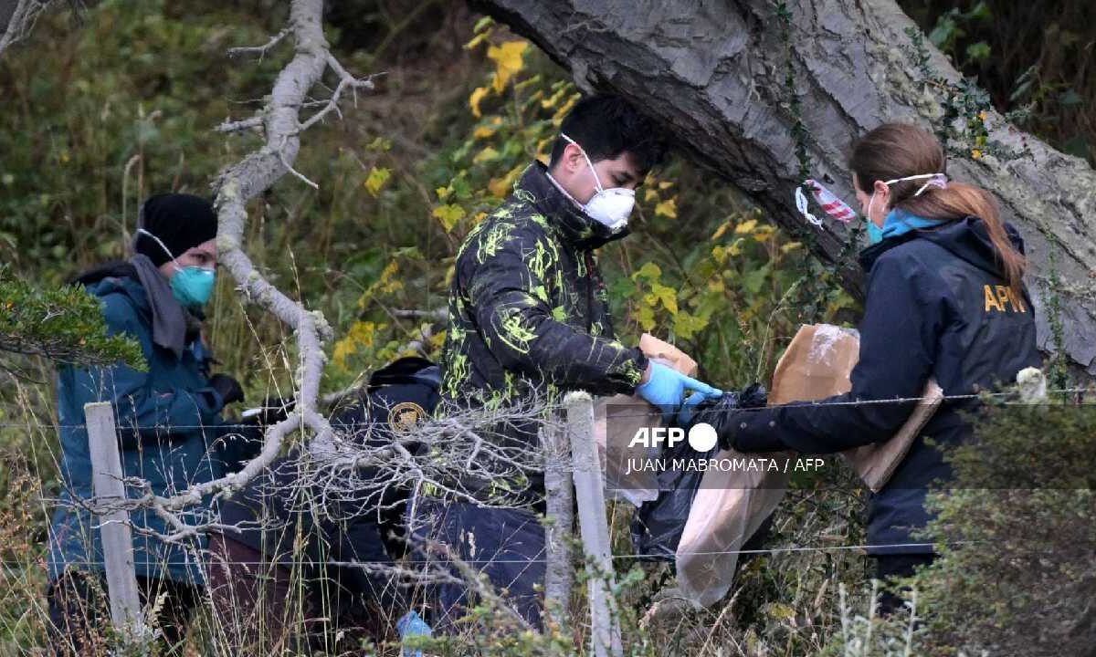 Hallan en Argentina hantavirus en roedores.