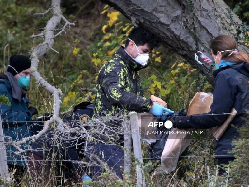 Argentina descarta vínculo entre hallazgo de hantavirus en Tierra del Fuego y brote mortal del crucero Hondius
