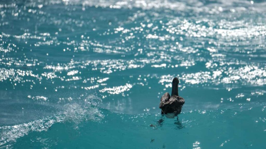 Clima Quintana Roo: pronostican nublados por onda tropical 10; el ambiente será caluroso