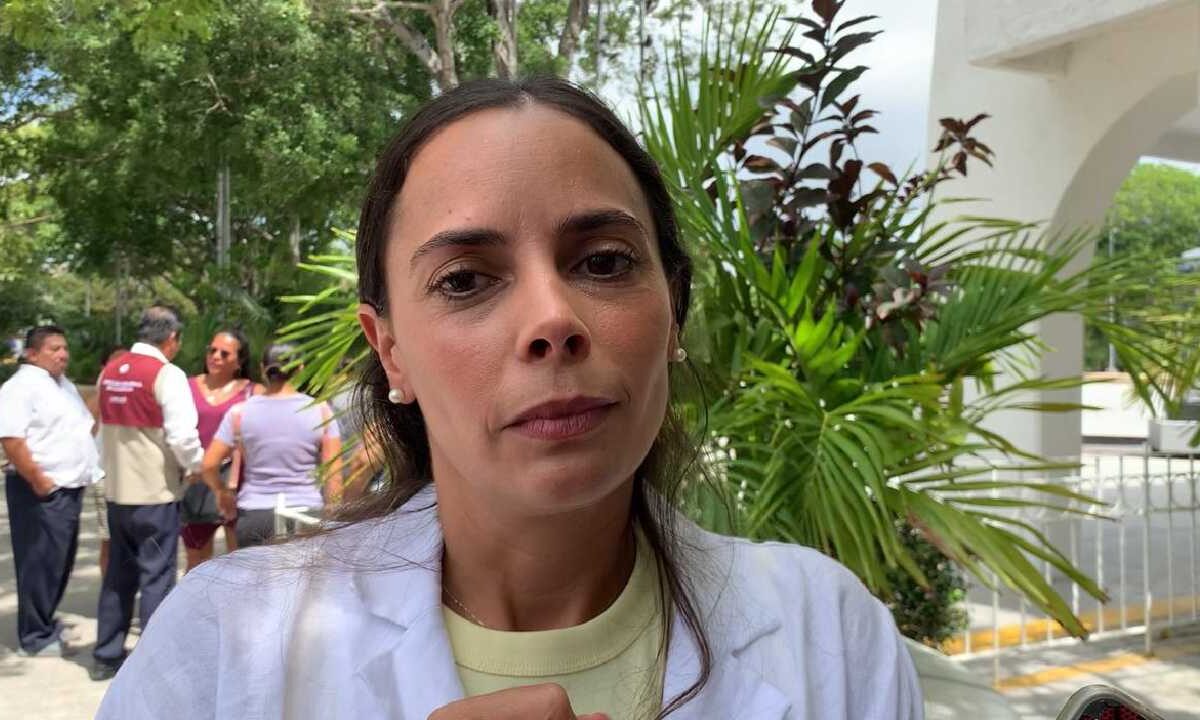 Ana Paty Peralta pedirá licencia.
