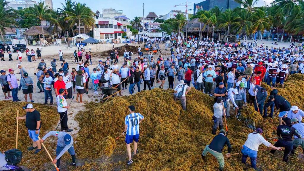 Destaca Estefanía Mercado participación ciudadana en Playa del Carmen para el retiro de sargazo