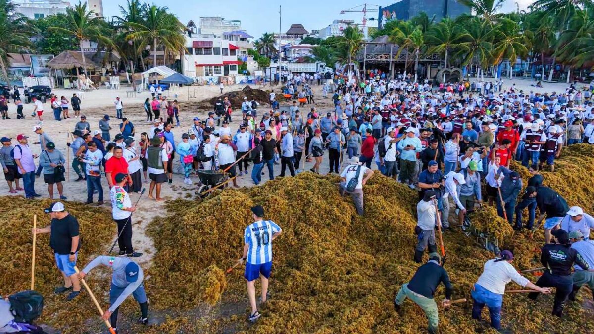 Retiro de sargazo en Playa del Carmen.